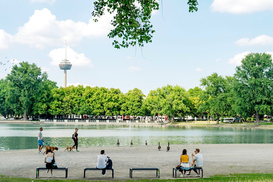 Den Colonius immer im Blick – von Süden hat man eine prima Aussicht auf das 266 m hohe Wahrzeichen Kölns aus dem Jahr 1978 | Die Kölner Parkweiher – Aachener Weiher