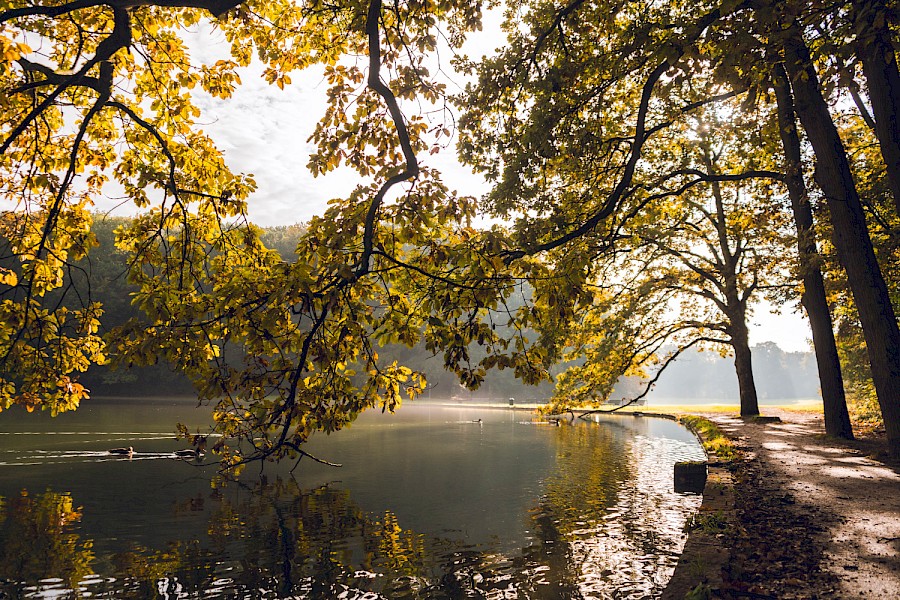 Der Weiher ist rundum mit Palisadensteinen eingefasst, der Uferweg führt so fast immer direkt bis ans Wasser. | Die Kölner Parkweiher – Adenauer Weiher