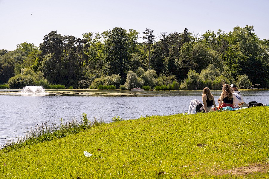 Am Ufer des Kalscheurer Weihers findet man schnell ein ruhiges Plätzchen. | Die Kölner Parkweiher – Kalscheurer Weiher