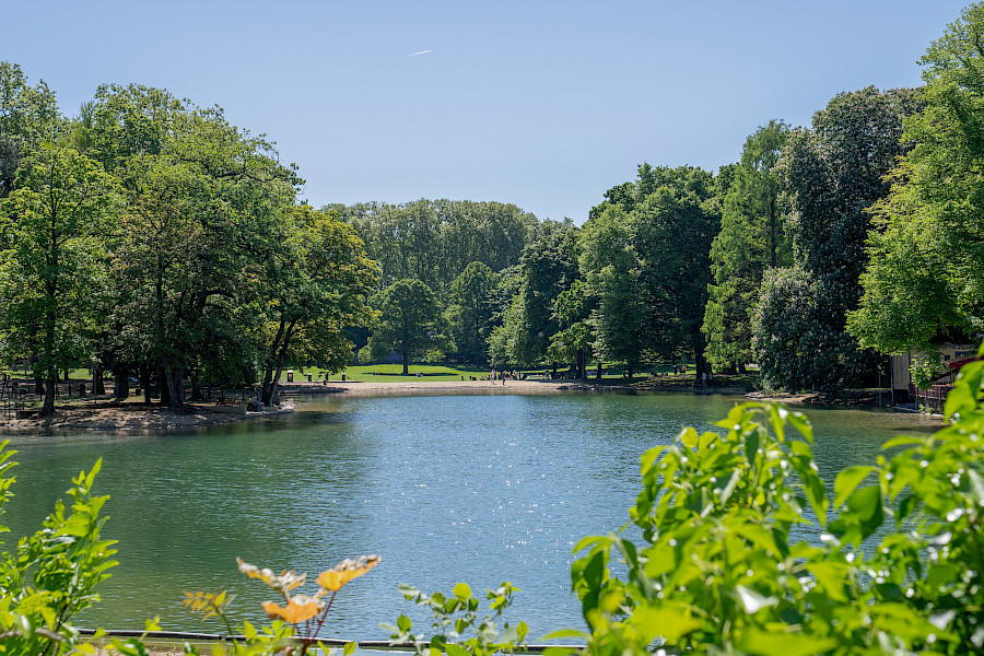 Blick über den Weiher | Die Kölner Parkweiher – Volksgartenweiher